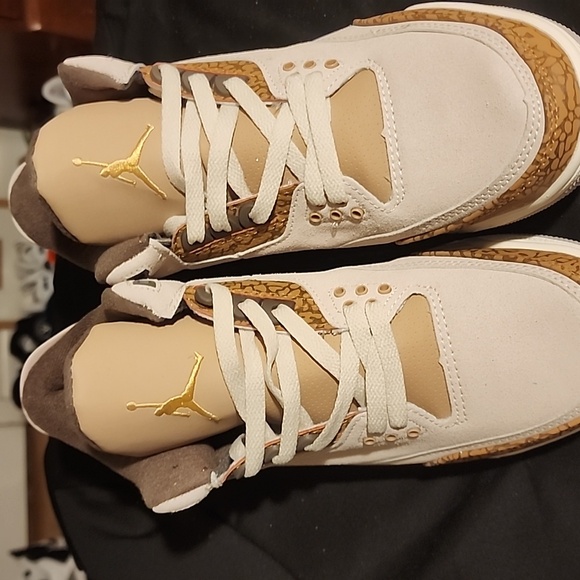 Nike Air Jordan 3s - Picture 2 of 6